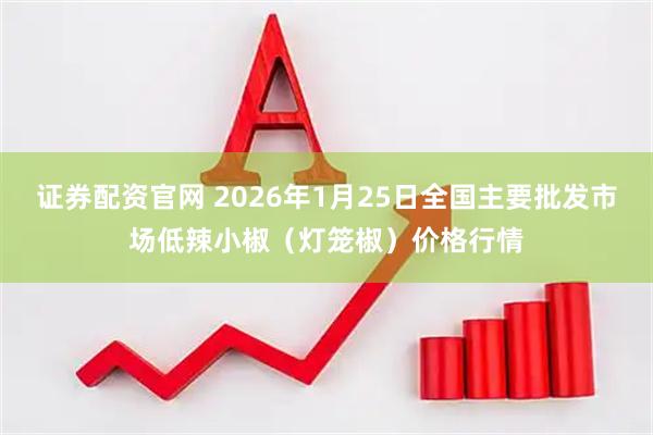 证券配资官网 2026年1月25日全国主要批发市场低辣小椒（灯笼椒）价格行情