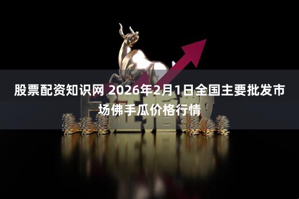 股票配资知识网 2026年2月1日全国主要批发市场佛手瓜价格行情